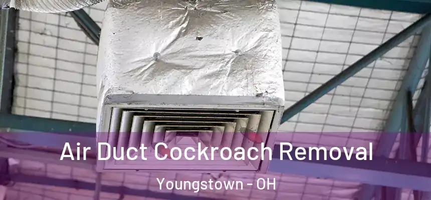 Air Duct Cockroach Removal Youngstown - OH