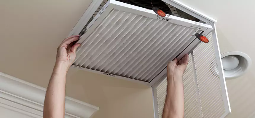 Our Insect Removal from Air Ducts Services in Youngstown, OH