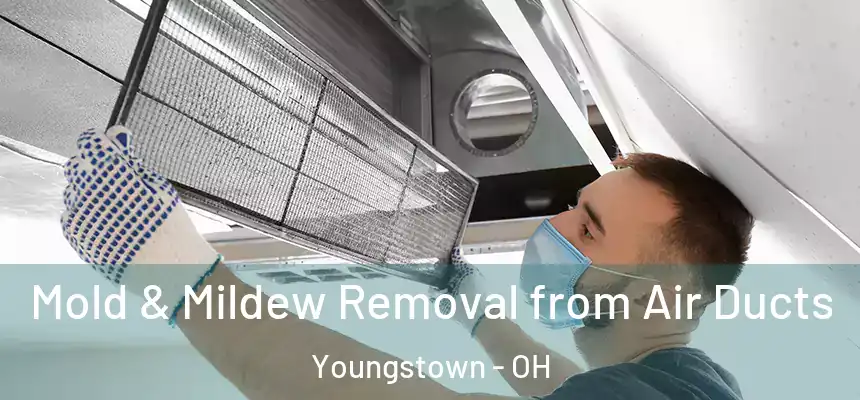 Mold & Mildew Removal from Air Ducts Youngstown - OH