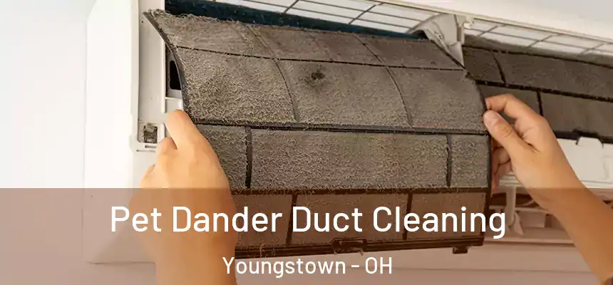 Pet Dander Duct Cleaning Youngstown - OH