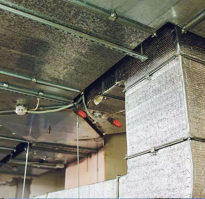 Why Homeowners & Businesses Trust Us in Youngstown, OH?