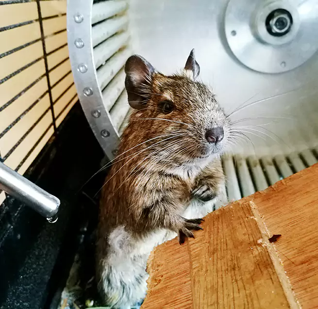 Why Homeowners & Businesses Trust Us Youngstown, OH