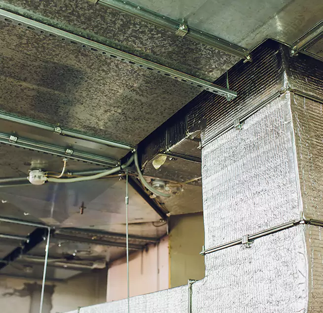 Why Homeowners & Businesses Trust Us in Youngstown, OH?